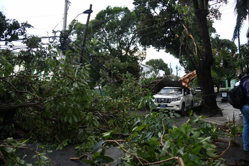 “Parece que pasó un tornado”: Las secuelas de lluvias y ráfagas de viento en Malecon Center