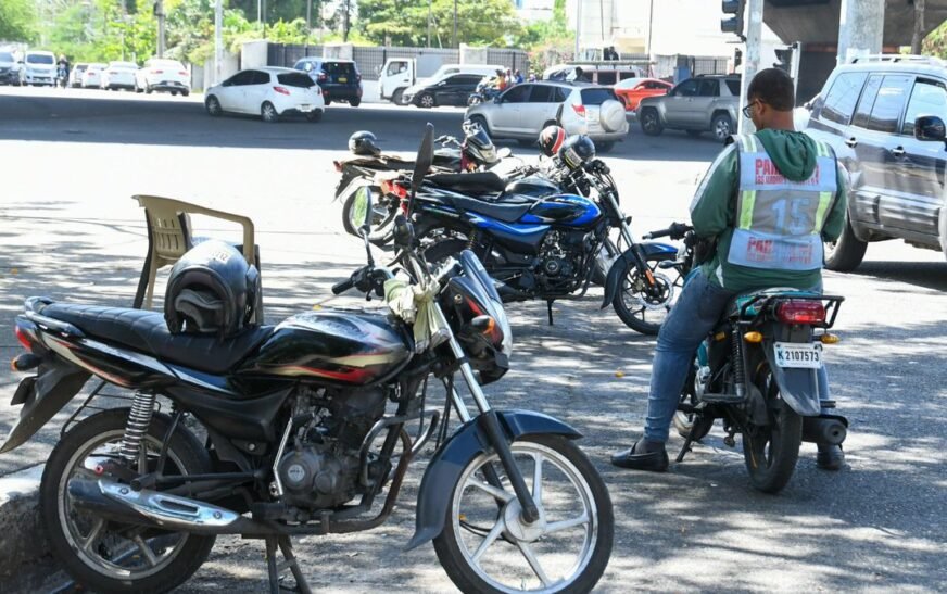 Regulaciones de montoconchos: la deuda pendiente que aún evaden las autoridades